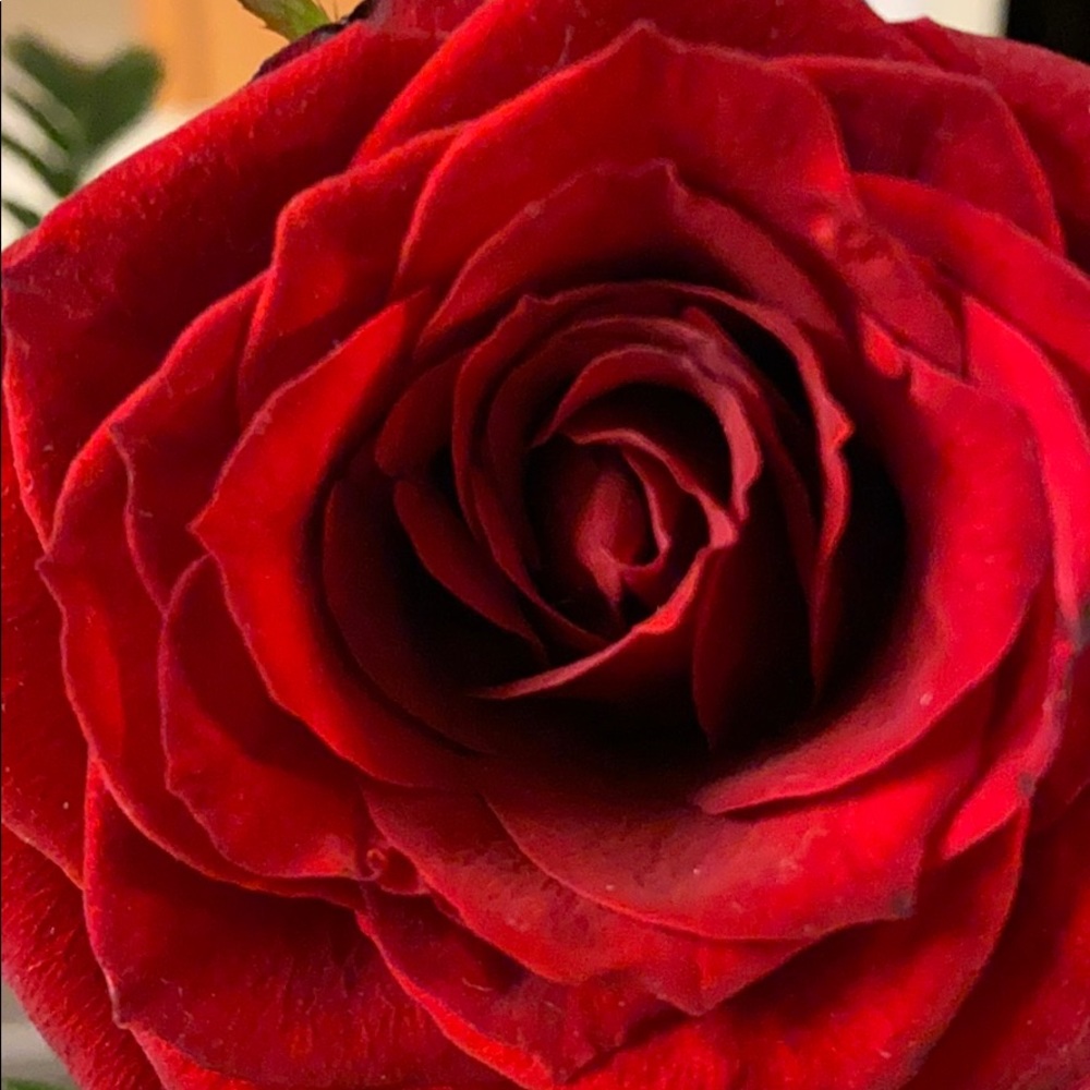 Meet your Posher, Yaribel